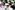 72069220_2359248777507099_9037144913484972032_o.jpg