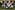72276318_2359251860840124_6928564731359789056_o.jpg